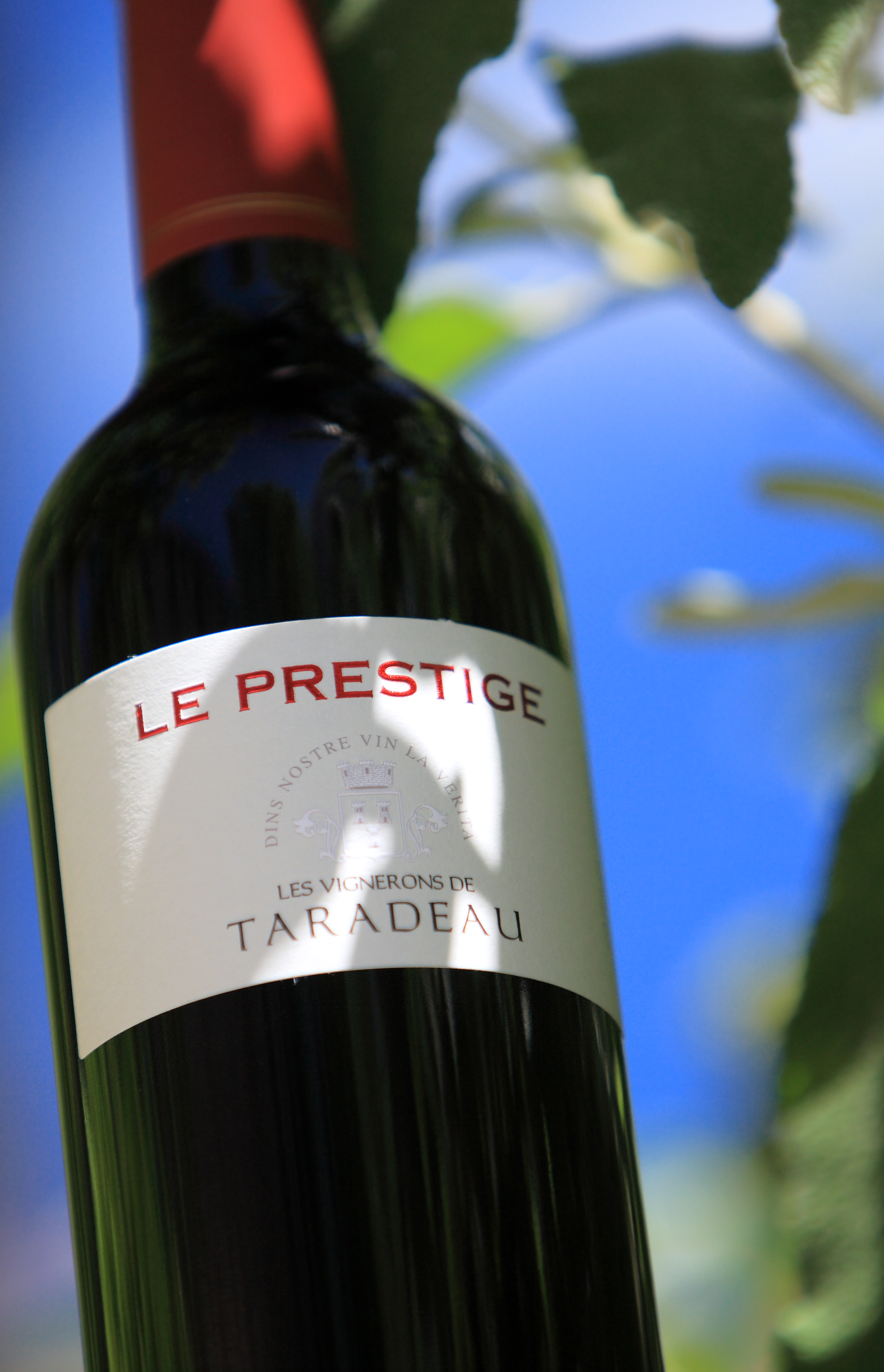 Vin rouge de Provence